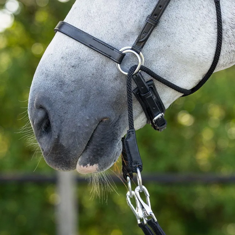QHP Ceto Anatomical Bitless Bridle with Reins - Black-4