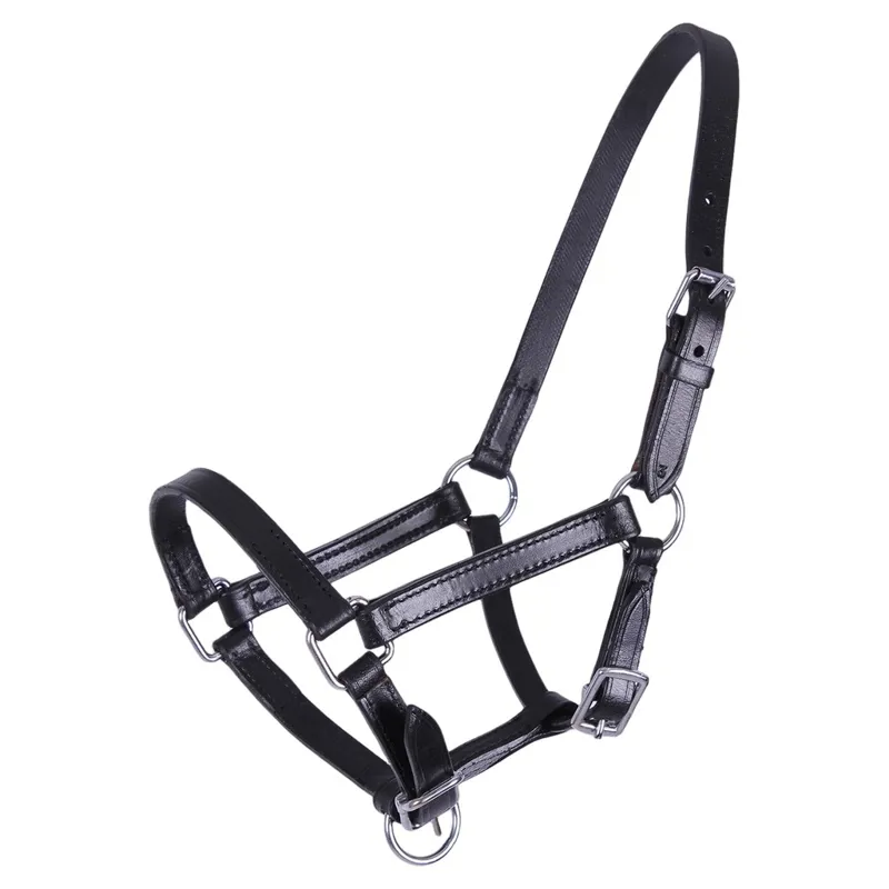 QHP Chico Leather Foal Halter - Black