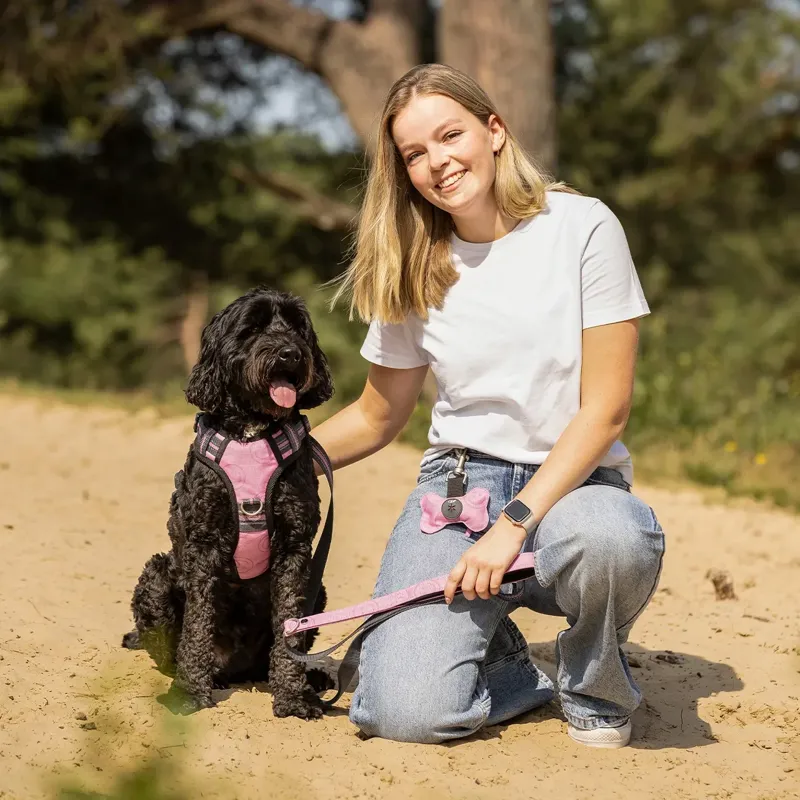 QHP Collection Dog Harness - Cheery Pink-4