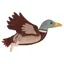 QHP Collection Dog Toy - Duck