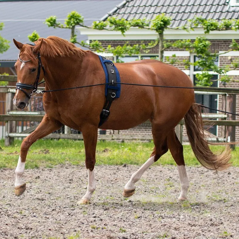 QHP Double Lunge Line - Black