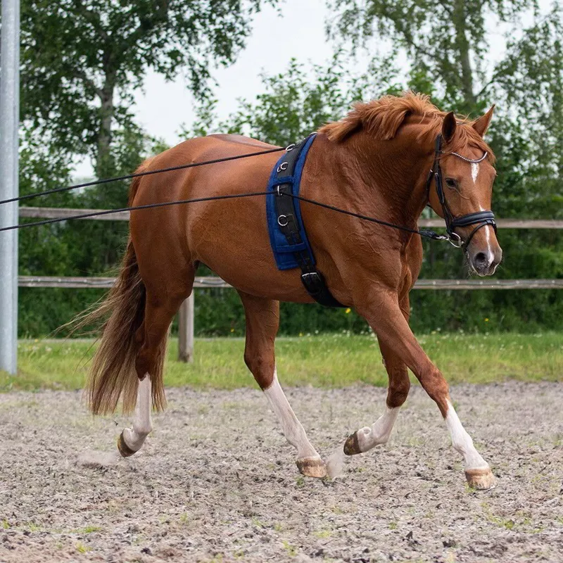 QHP Double Lunge Line - Black-2