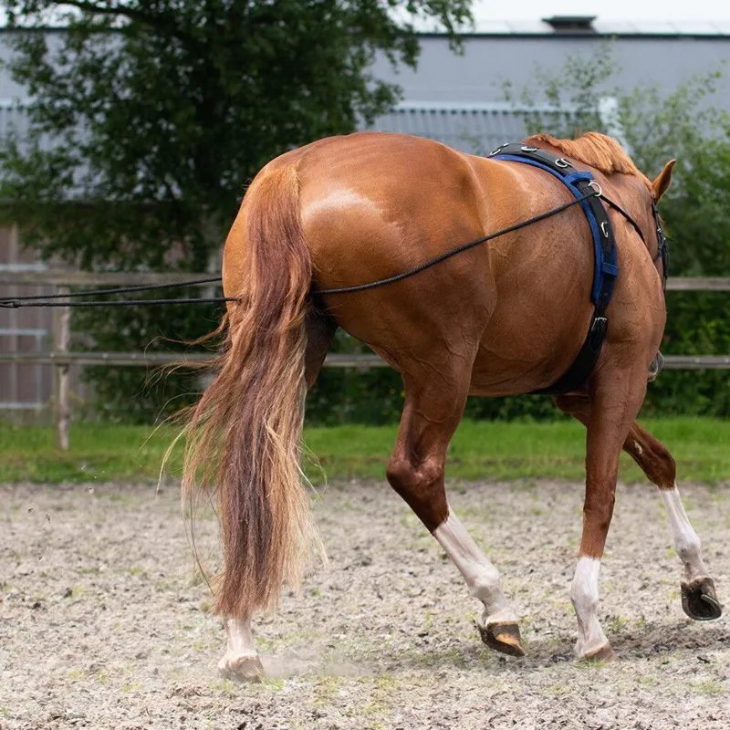 QHP Double Lunge Line - Black-3