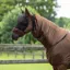 QHP Eczema Fly Mask with Ears - Brown