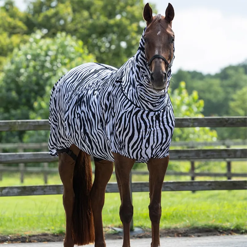 QHP Eczema Sweet Itch Combo Neck Fly Sheet - Zebra-1