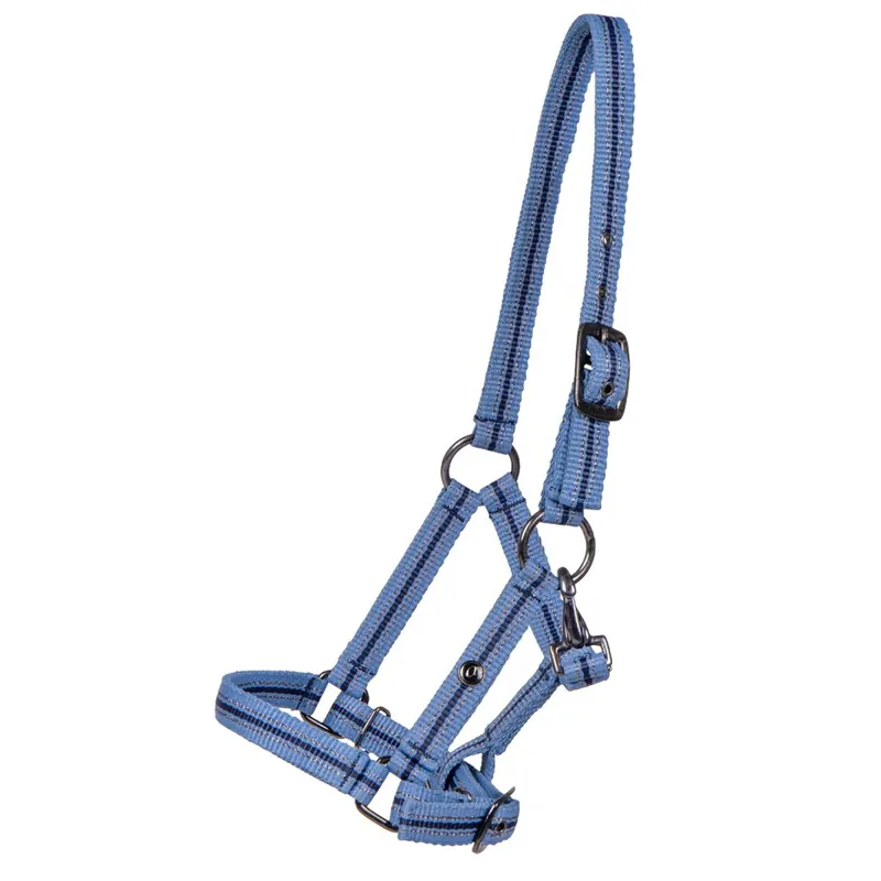 QHP Foal Collection Halter - Country Blue