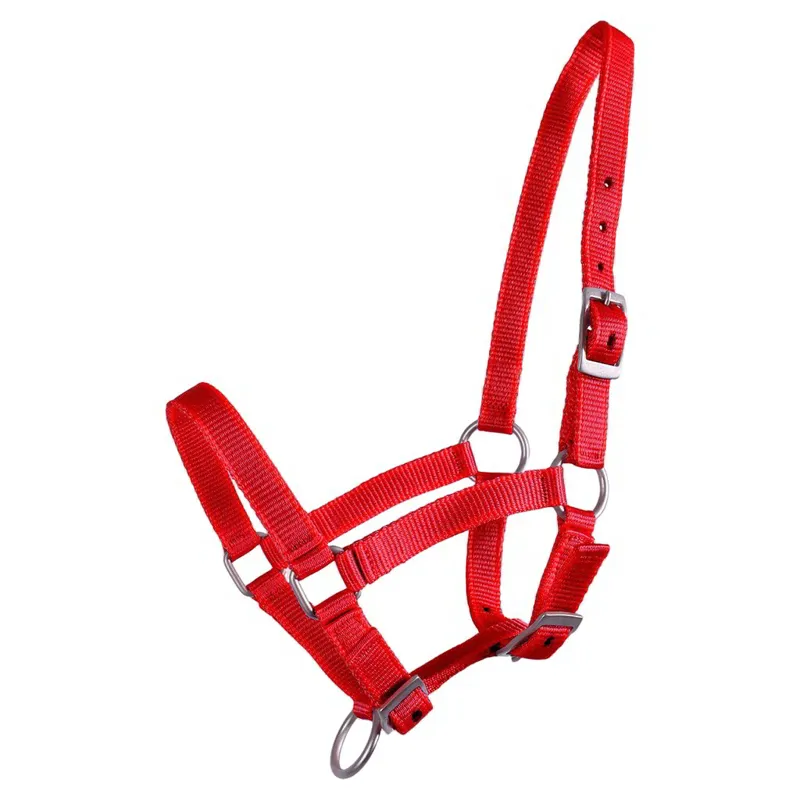 QHP Foal Halter - Red