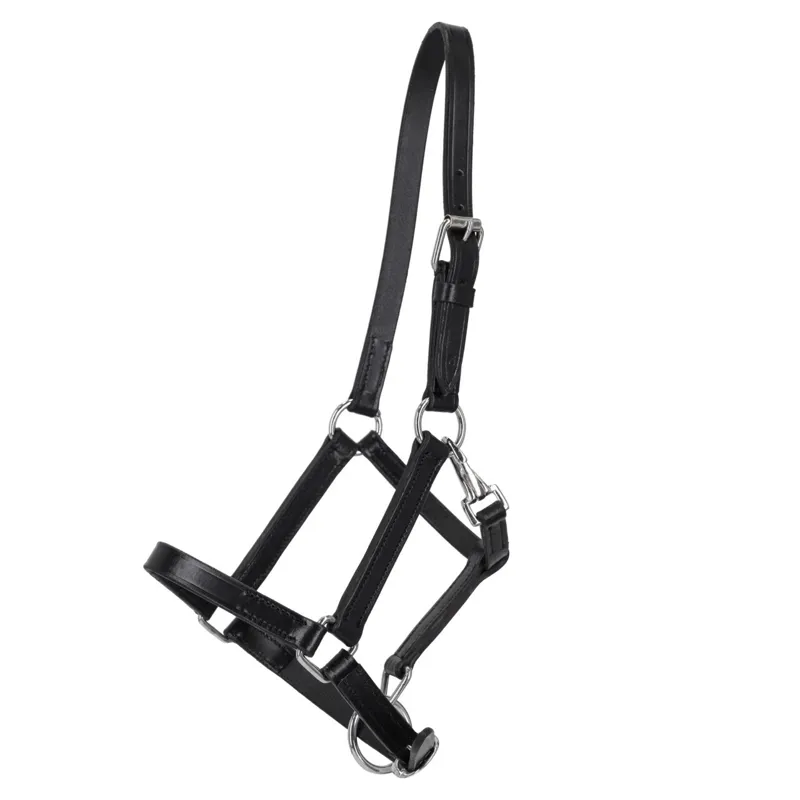 QHP Foal Leather Halter with Clip - Black