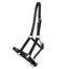 QHP Foal Leather Halter with Clip - Black