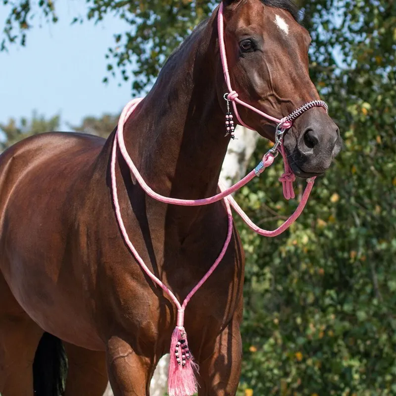 QHP Liberty Combi Rope Halter with Reins - Flamingo-3