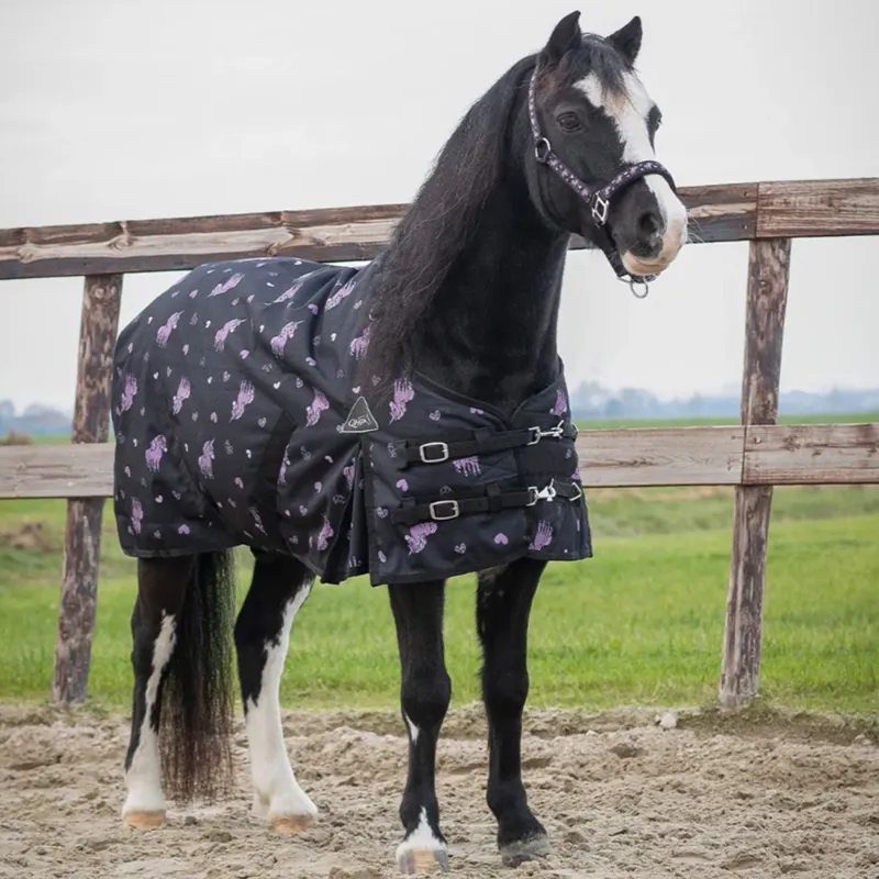 QHP Lize 100g Turnout Blanket - Black/Violet-1