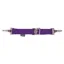 QHP Lunge Attachment - Passion Flower
