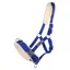 QHP Fleece Lined Lunging Cavesson - Cobalt Blue