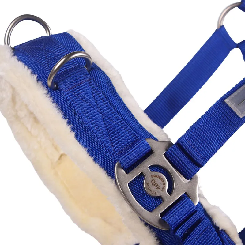 QHP Fleece Lined Lunging Cavesson - Cobalt Blue-2