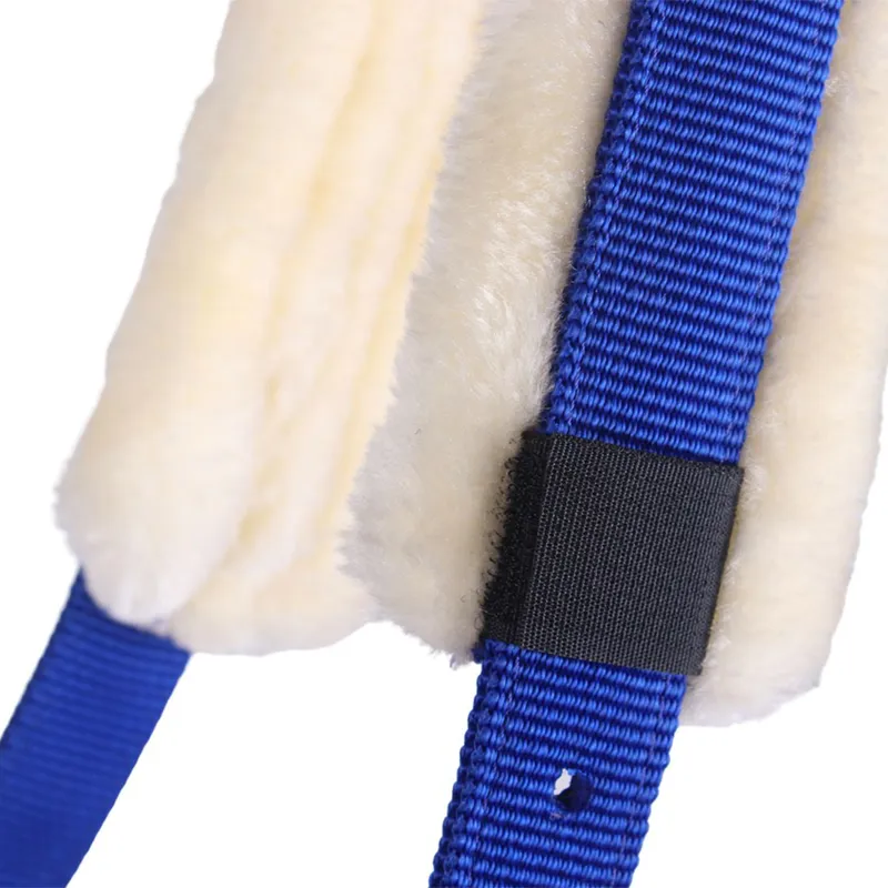 QHP Fleece Lined Lunging Cavesson - Cobalt Blue-3