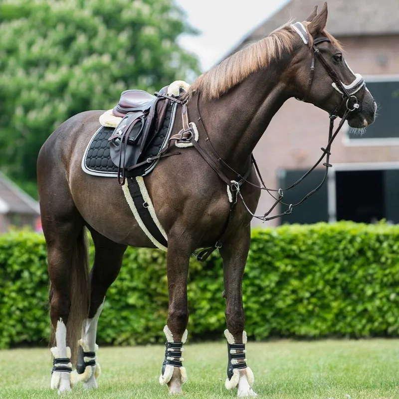 QHP Ontario Breastplate - Brown-4