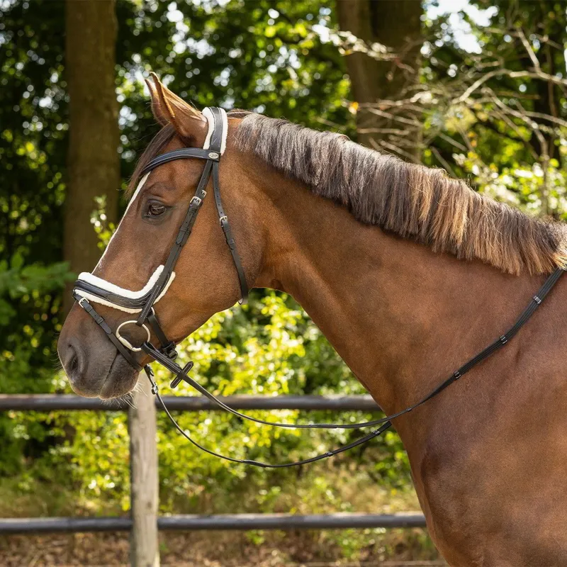 QHP Ontario Bridle with Reins - Black-3