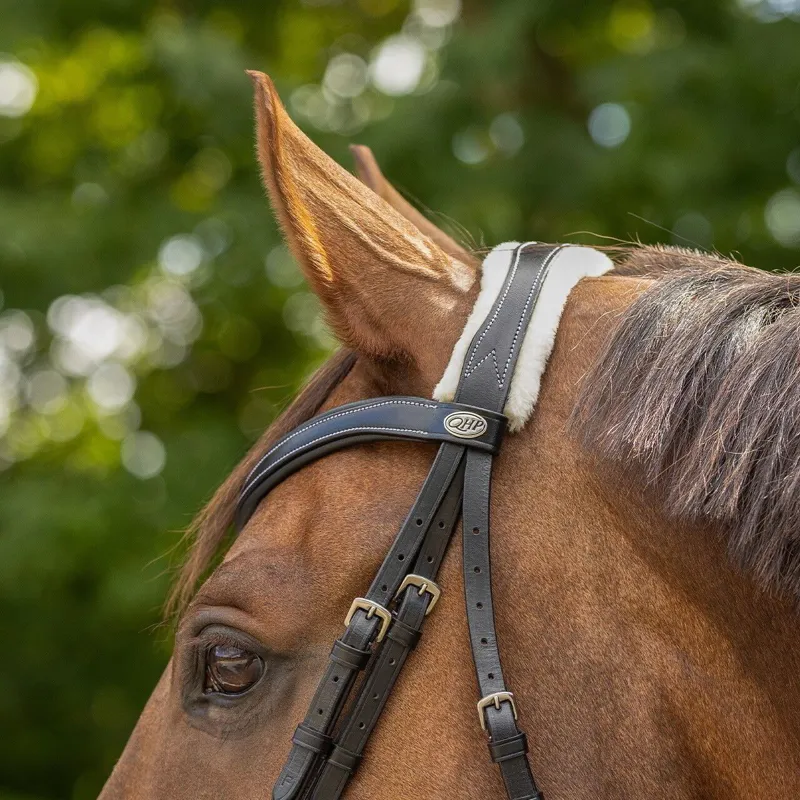 QHP Ontario Bridle with Reins - Black-7