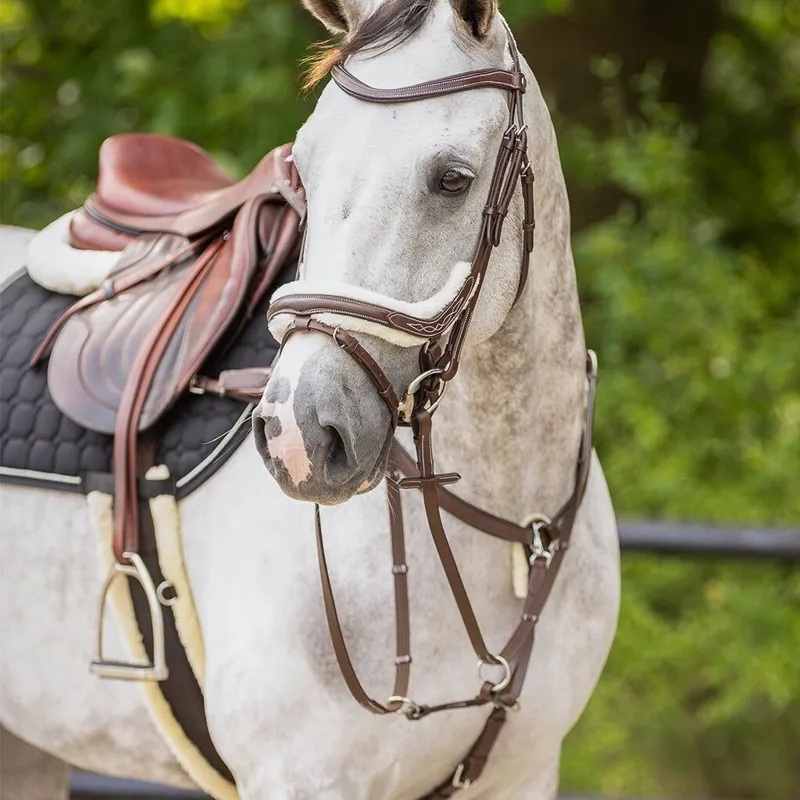 QHP Ontario Bridle with Reins - Brown-10