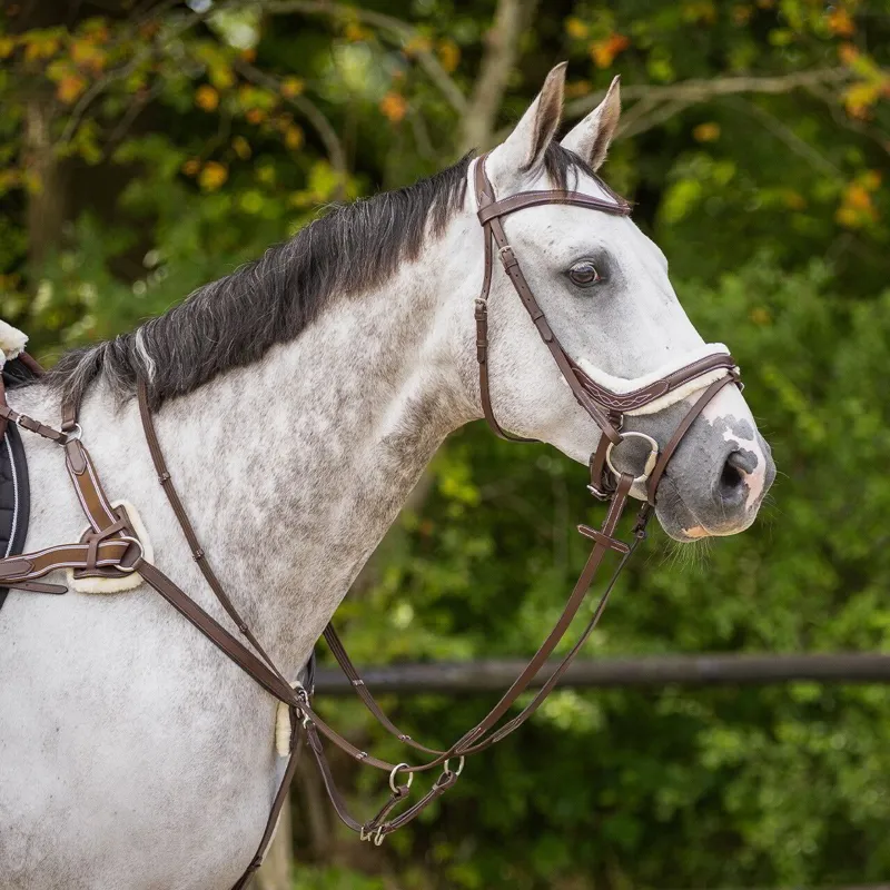 QHP Ontario Bridle with Reins - Brown-7