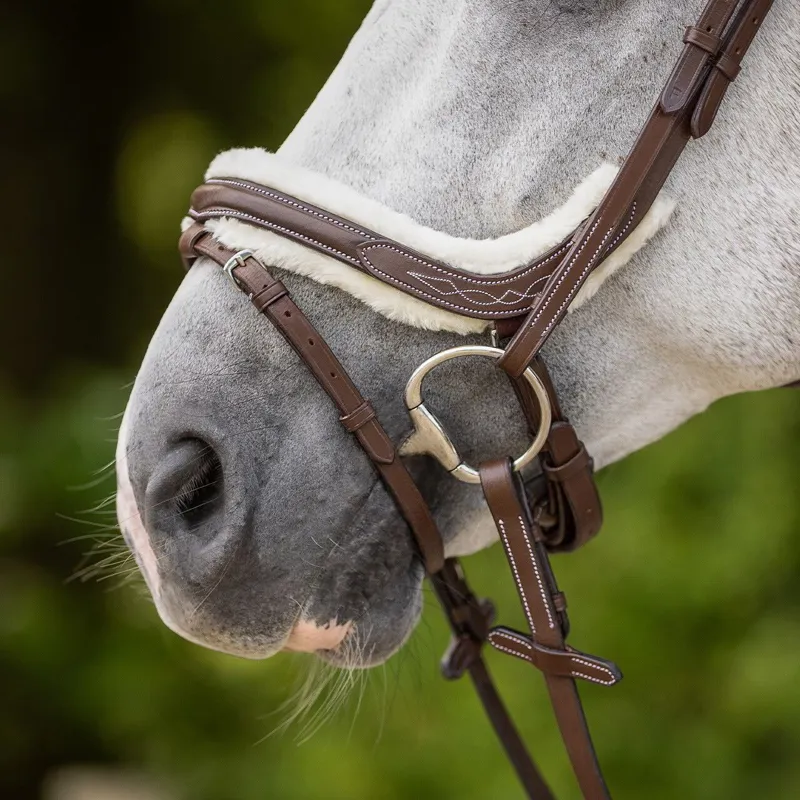 QHP Ontario Bridle with Reins - Brown-8