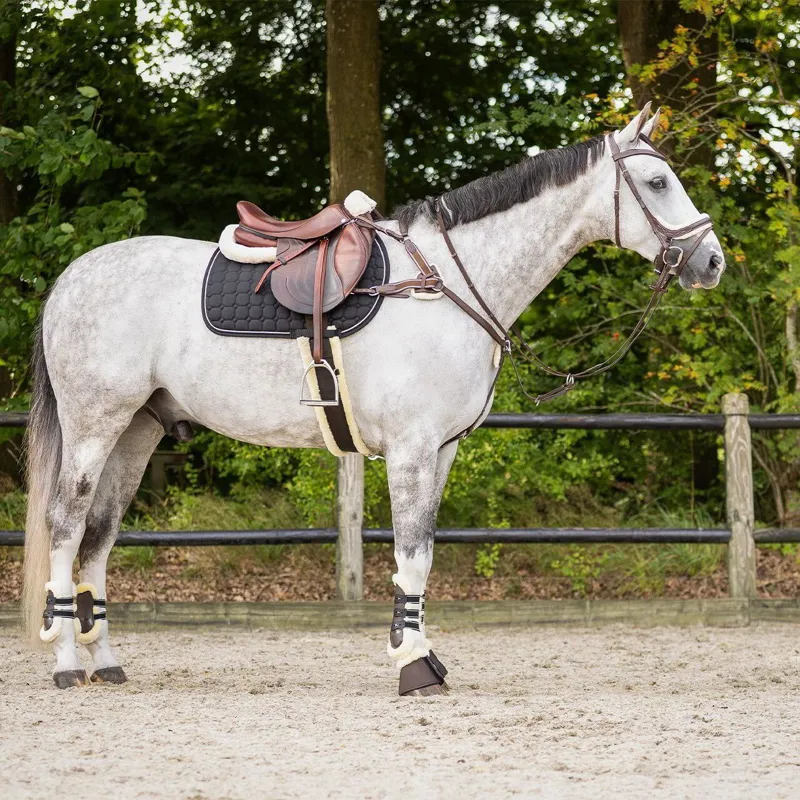 QHP Ontario Bridle with Reins - Brown-4