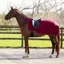 QHP Ornament Fleece Exercise Sheet - Burgundy/Silver
