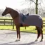 QHP Ornament Fleece Exercise Sheet - Grey/Silver