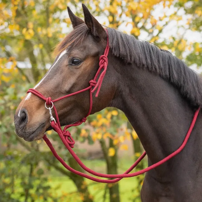 QHP Colour Rope Halter with Reins - Burgundy-2