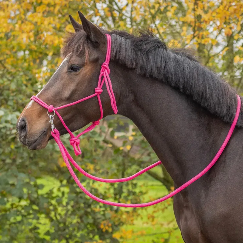 QHP Colour Rope Halter with Reins - Fuchsia-2