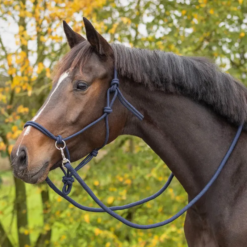 QHP Colour Rope Halter with Reins - Navy-2