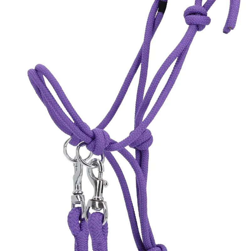 QHP Color Rope Halter with Reins - Passion Flower-1