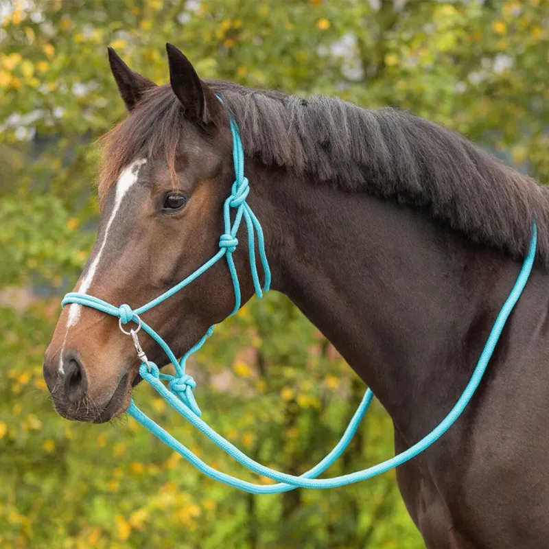 QHP Colour Rope Halter with Reins - Sky-2