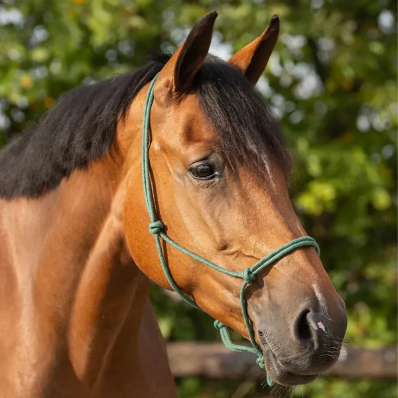 QHP Basic Rope Halter - Dark Green-1