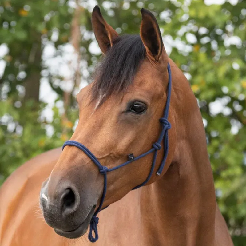 QHP Basic Rope Halter - Navy-1