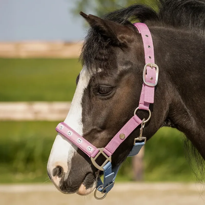 QHP Rosalynn Halter-Pink/Blue-2