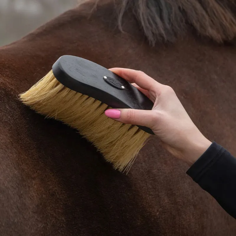 QHP Royal Grooming Set - Black-11