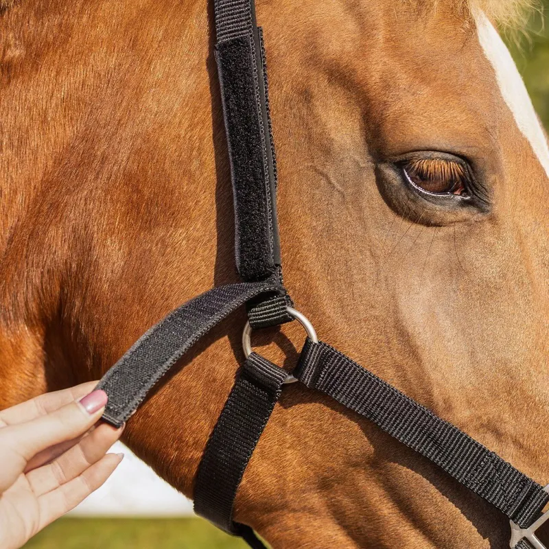 QHP Safety Lined Halter - Black-5