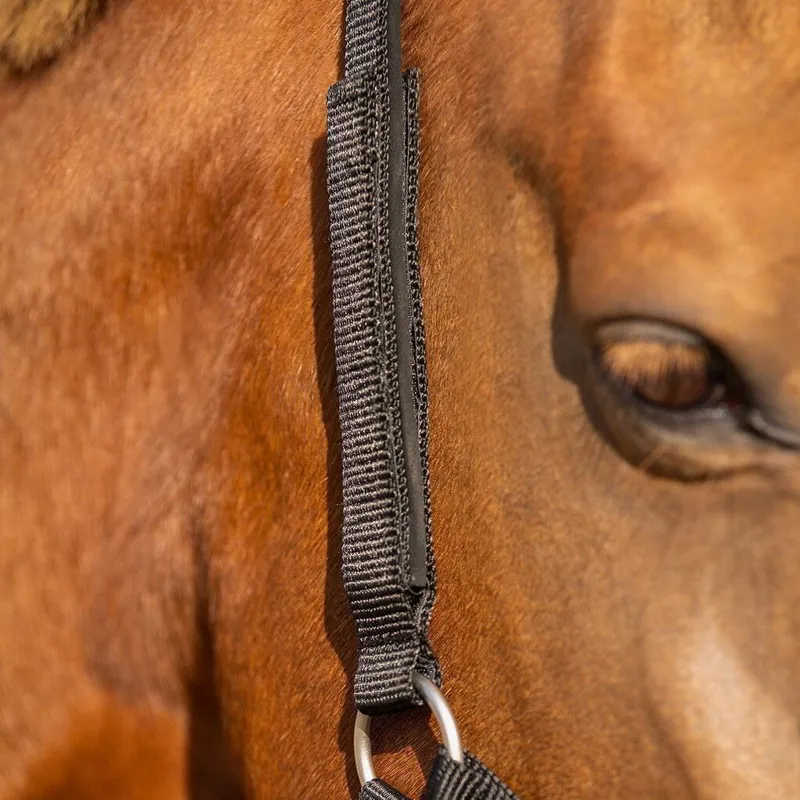QHP Safety Lined Halter - Black-6