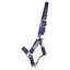 QHP Safety Lined Halter - Blue