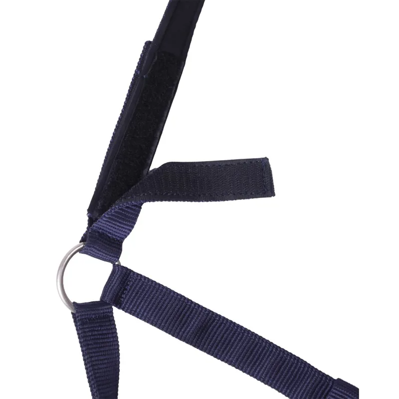 QHP Safety Lined Halter - Blue-1