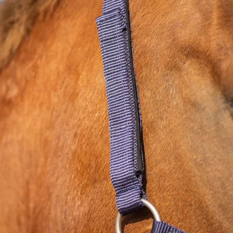 QHP Safety Lined Halter - Blue-5