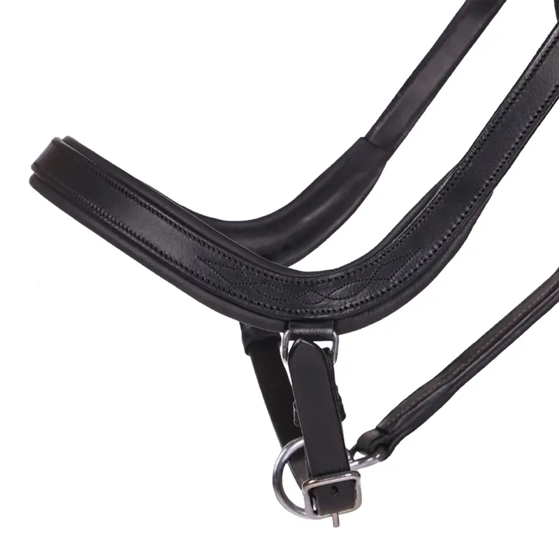 QHP Salerno Anatomic Leather Halter - Black-1