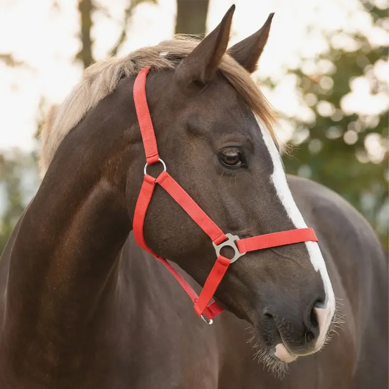 QHP Slide Halter - Bright Red-1