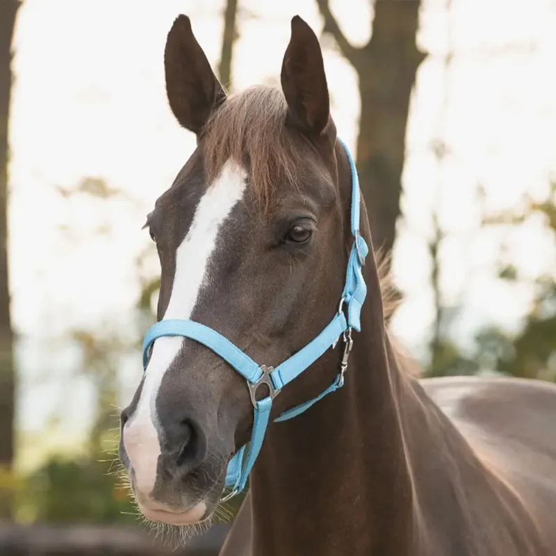 QHP Slide Halter-Sky-1