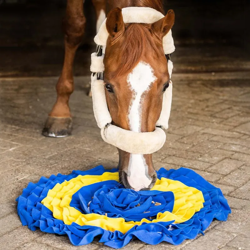 QHP Treat Snuffle Mat for Horses - Blue/Yellow