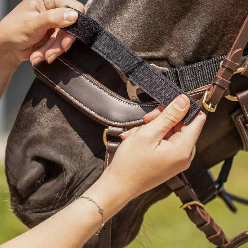 QHP Tack Up Halter - Black-2