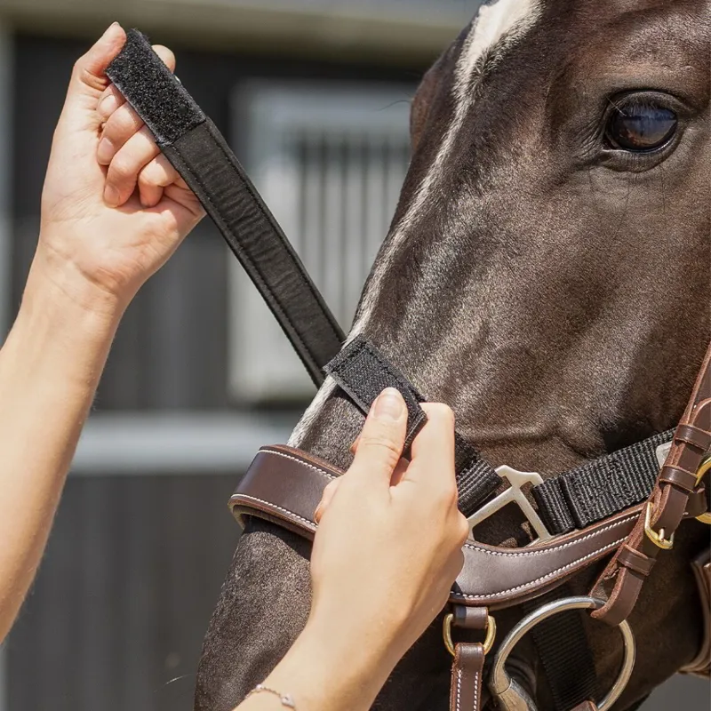 QHP Tack Up Halter - Black-3
