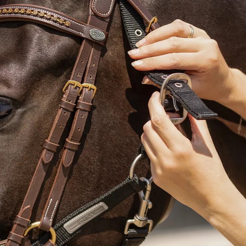 QHP Tack Up Halter - Black-4