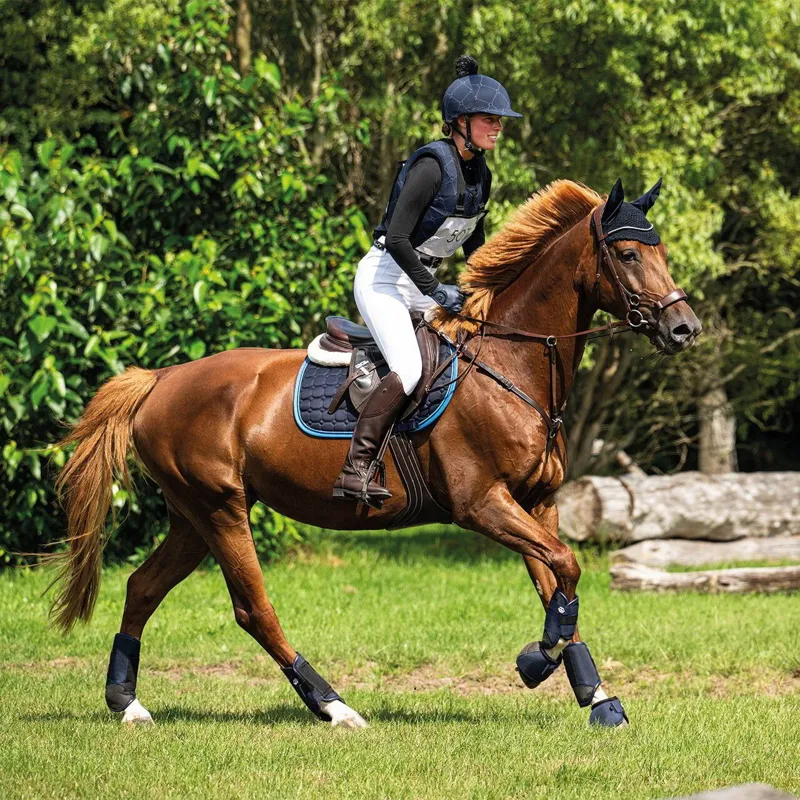 QHP Technical Eventing Tendon Boots - Navy-2